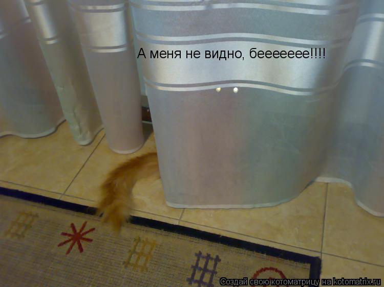 А меня не видно, беееееее!!!!... Котоматрица: А меня не видно, беееееее!!!!