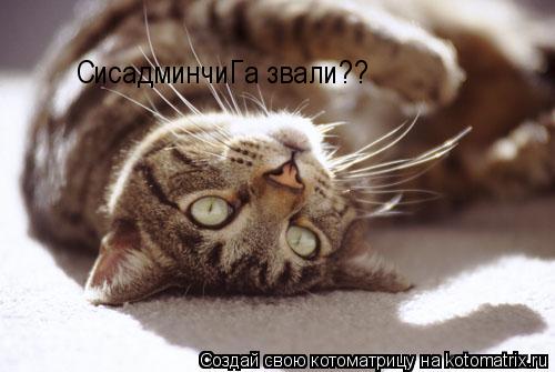 СисадминчиГа звали??... Котоматрица: СисадминчиГа звали??