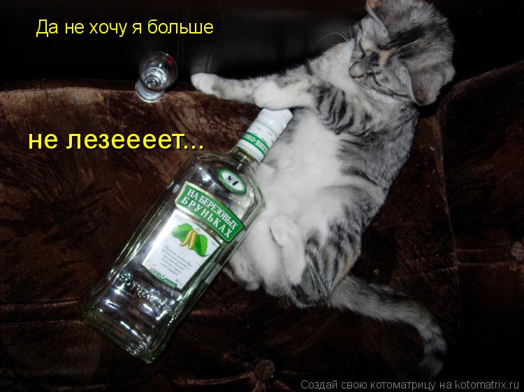 Да не хочу я больше не лезеееет...... Котоматрица: Да не хочу я больше не лезеееет...