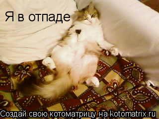 Я в отпаде... Котоматрица: Я в отпаде