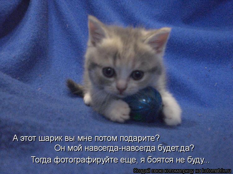 А этот шарик вы мне потом подарите? Он мой навсегда-навсегда будет,да? Тогда фотографируйте еще, я бо... Котоматрица: А этот шарик вы мне потом подарите? Он мой навсегда-навсегда будет,да? Тогда фотографируйте еще, я боятся не буду...