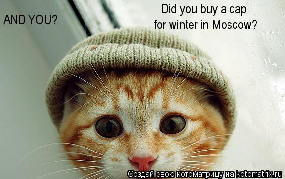 Did you buy a cap for winter in Moscow? AND YOU?... Котоматрица: Did you buy a cap for winter in Moscow? AND YOU?