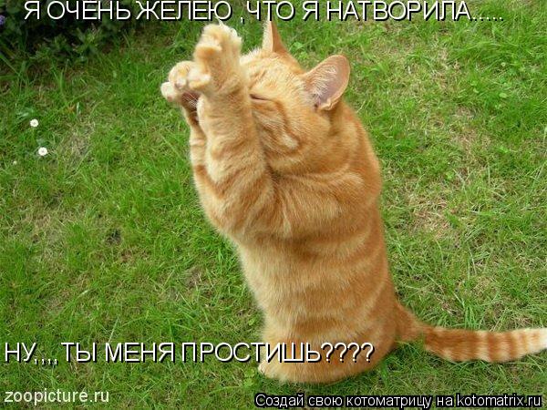 Я ОЧЕНЬ ЖЕЛЕЮ ,ЧТО Я НАТВОРИЛА..... НУ,,,,ТЫ МЕНЯ ПРОСТИШЬ????... Котоматрица: Я ОЧЕНЬ ЖЕЛЕЮ ,ЧТО Я НАТВОРИЛА..... НУ,,,,ТЫ МЕНЯ ПРОСТИШЬ????