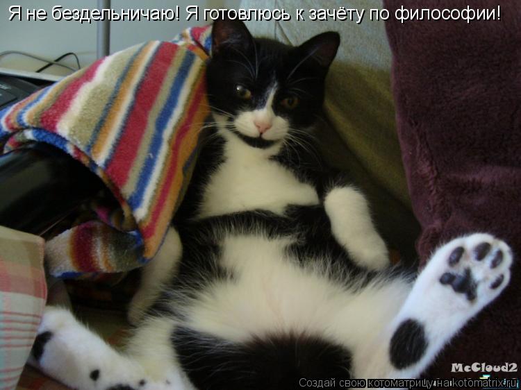 Я не бездельничаю! Я готовлюсь к зачёту по философии!... Котоматрица: Я не бездельничаю! Я готовлюсь к зачёту по философии!