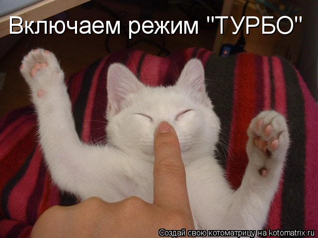 Включаем режим "ТУРБО"... Котоматрица: Включаем режим "ТУРБО"