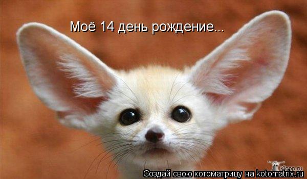 Моё 14 день рождение...... Котоматрица: Моё 14 день рождение...