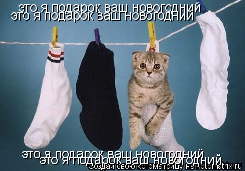 это я подарок ваш новогодний это я подарок ваш новогодний это я подарок ваш новогодний это я подар... Котоматрица: это я подарок ваш новогодний это я подарок ваш новогодний это я подарок ваш новогодний это я подарок ваш новогодний