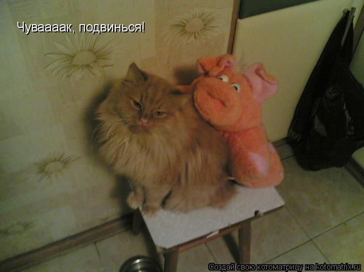 Чуваааак, подвинься!... Котоматрица: Чуваааак, подвинься!