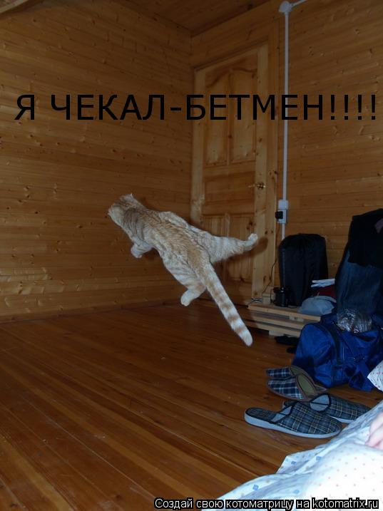 Я ЧЕКАЛ-БЕТМЕН!!!!!!!!!!!... Котоматрица: Я ЧЕКАЛ-БЕТМЕН!!!!!!!!!!!