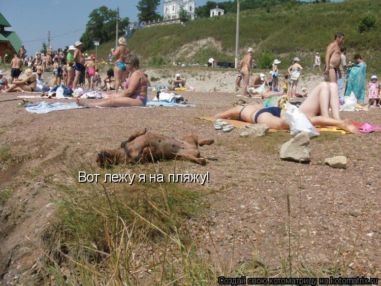 Вот лежу я на пляжу!... Котоматрица: Вот лежу я на пляжу!