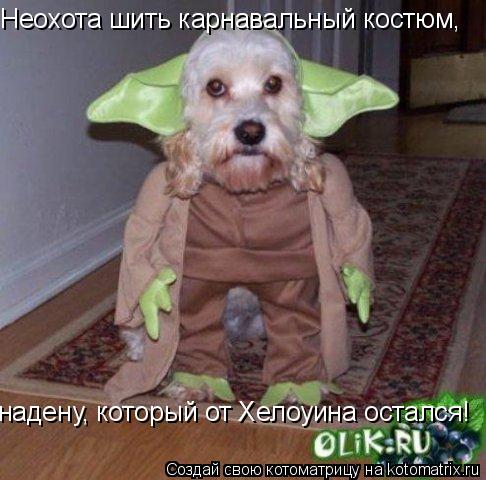 Неохота шить карнавальный костюм, надену, который от Хелоуина остался!... Котоматрица: Неохота шить карнавальный костюм, надену, который от Хелоуина остался!