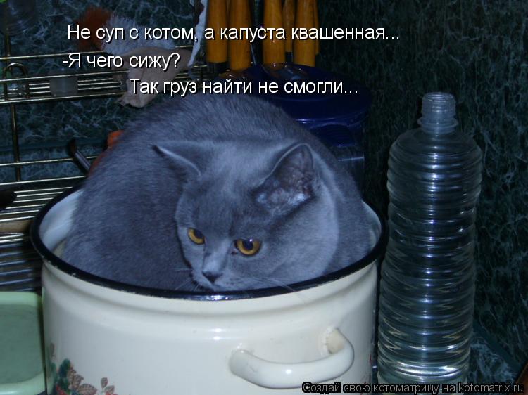 Не суп с котом, а капуста квашенная... -Я чего сижу? Так груз найти не смогли...... Котоматрица: Не суп с котом, а капуста квашенная... -Я чего сижу? Так груз найти не смогли...