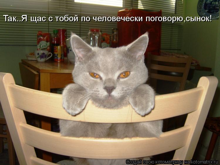 Так..Я щас с тобой по человечески поговорю,сынок!... Котоматрица: Так..Я щас с тобой по человечески поговорю,сынок!