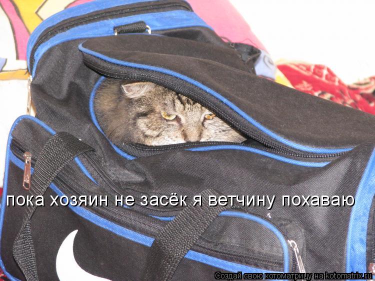 пока хозяин не засёк я ветчину похаваю... Котоматрица: пока хозяин не засёк я ветчину похаваю