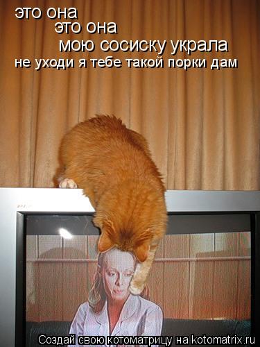 это она это она мою сосиску украла не уходи я тебе такой порки дам... Котоматрица: это она это она мою сосиску украла не уходи я тебе такой порки дам
