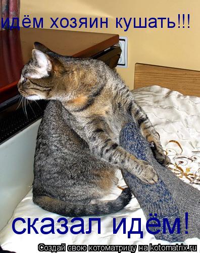 идём хозяин кушать!!! сказал идём!... Котоматрица: идём хозяин кушать!!! сказал идём!