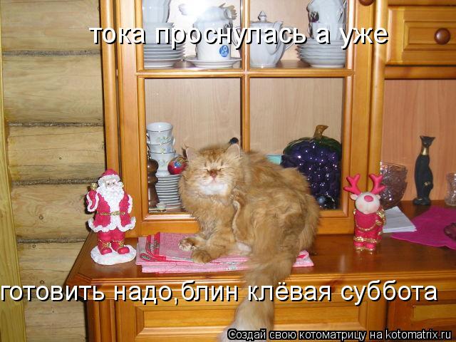 тока проснулась а уже готовить надо,блин клёвая суббота... Котоматрица: тока проснулась а уже готовить надо,блин клёвая суббота