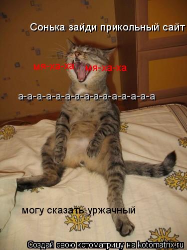 Сонька зайди прикольный сайт могу сказать уржачный мя-ха-ха мя-ха-ха а-а-а-а-а-а-а-а-а-а-а-а-а-а-а... Котоматрица: Сонька зайди прикольный сайт могу сказать уржачный мя-ха-ха мя-ха-ха а-а-а-а-а-а-а-а-а-а-а-а-а-а-а
