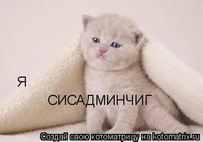 СИСАДМИНЧИГ Я... Котоматрица: СИСАДМИНЧИГ Я