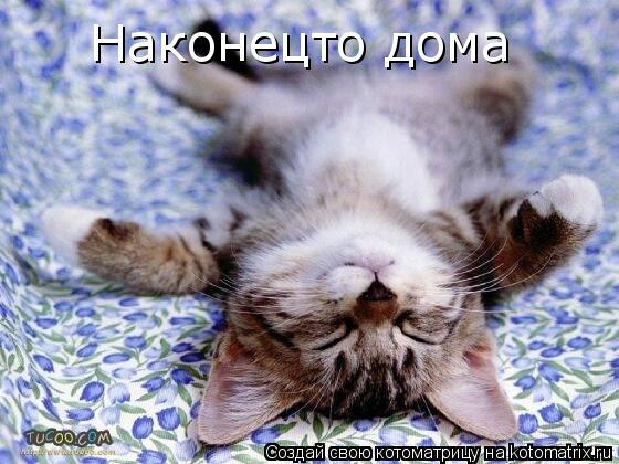 Наконецто дома... Котоматрица: Наконецто дома