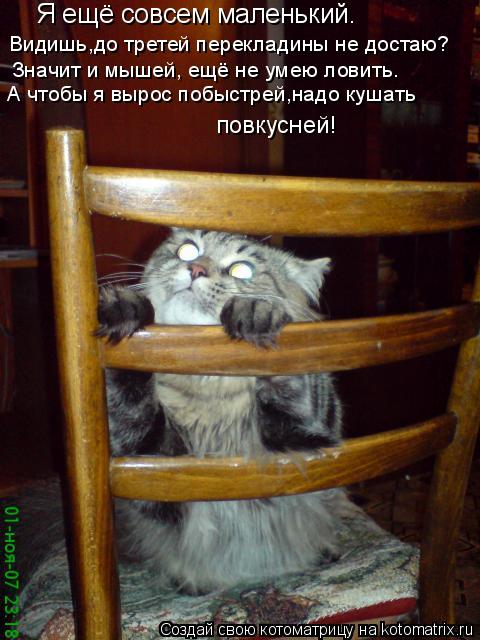 Я ещё совсем маленький. Видишь,до третей перекладины не достаю? Значит и мышей, ещё не умею ловить. А... Котоматрица: Я ещё совсем маленький. Видишь,до третей перекладины не достаю? Значит и мышей, ещё не умею ловить. А чтобы я вырос побыстрей,надо кушать пов