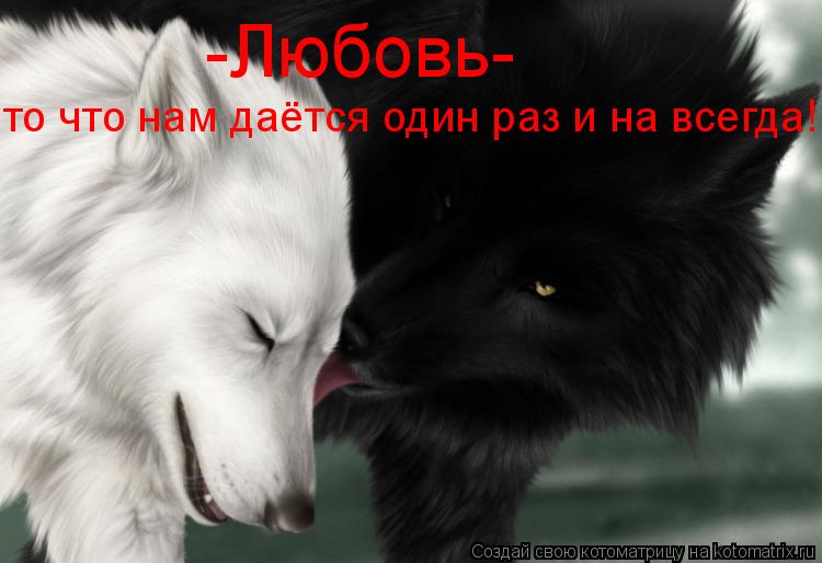 http://kotomatrix.ru/images/lolz/2008/12/14/_.jpg