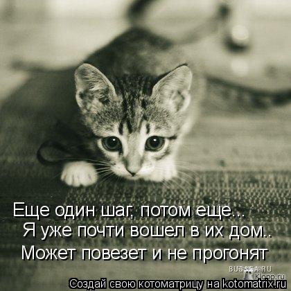 Еще один шаг, потом еще... Я уже почти вошел в их дом.. Может повезет и не прогонят... Котоматрица: Еще один шаг, потом еще... Я уже почти вошел в их дом.. Может повезет и не прогонят