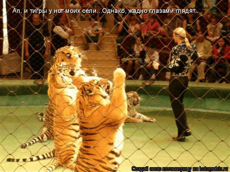 Ап, и тигры у ног моих сели...Однако, жадно глазами глядят..... Котоматрица: Ап, и тигры у ног моих сели...Однако, жадно глазами глядят..