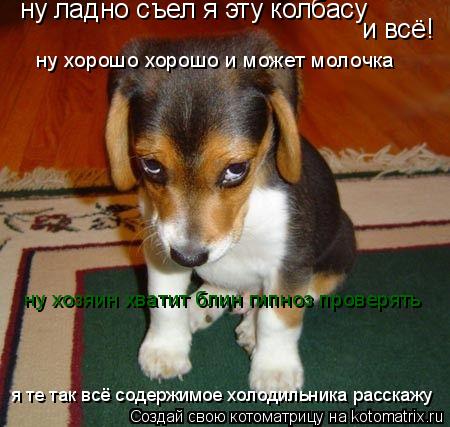 и всё! ну ладно съел я эту колбасу ну хорошо хорошо и может молочка ну хозяин хватит блин гипноз пров... Котоматрица: и всё! ну ладно съел я эту колбасу ну хорошо хорошо и может молочка ну хозяин хватит блин гипноз проверять я те так всё содержимое холодильн
