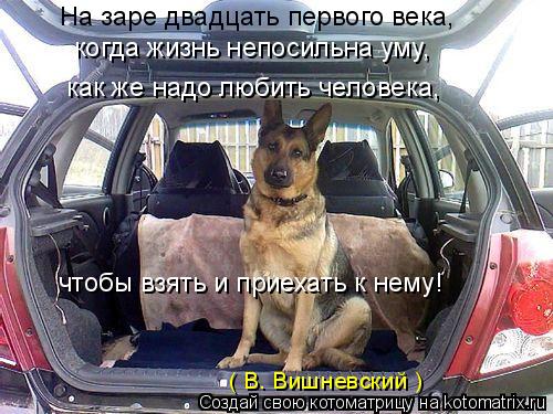 На заре двадцать первого века, когда жизнь непосильна уму, как же надо любить человека, чтобы взять и... Котоматрица: На заре двадцать первого века, когда жизнь непосильна уму, как же надо любить человека, чтобы взять и приехать к нему! ( В. Вишневский )