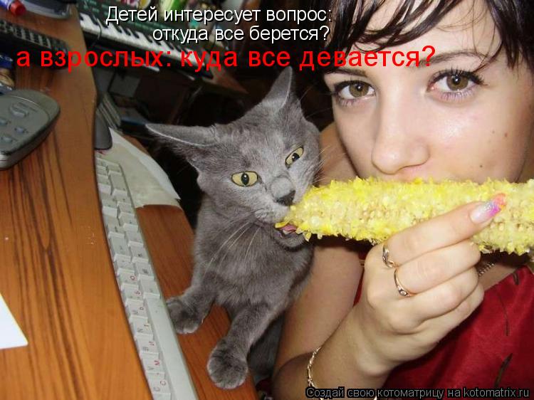 Детей интересует вопрос: откуда все берется? а взрослых: куда все девается?... Котоматрица: Детей интересует вопрос: откуда все берется? а взрослых: куда все девается?