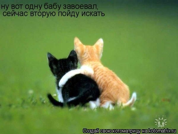 ну вот одну бабу завоевал, сейчас вторую пойду искать... Котоматрица: ну вот одну бабу завоевал, сейчас вторую пойду искать