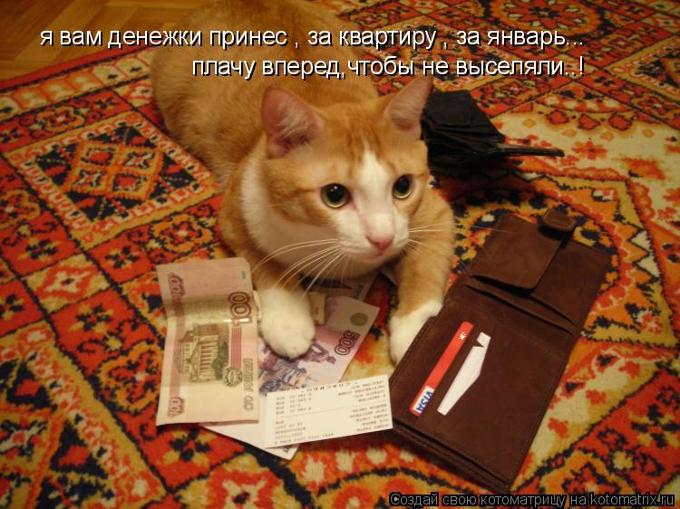 я вам денежки принес , за квартиру , за январь... плачу вперед,чтобы не выселяли..!... Котоматрица: я вам денежки принес , за квартиру , за январь... плачу вперед,чтобы не выселяли..!