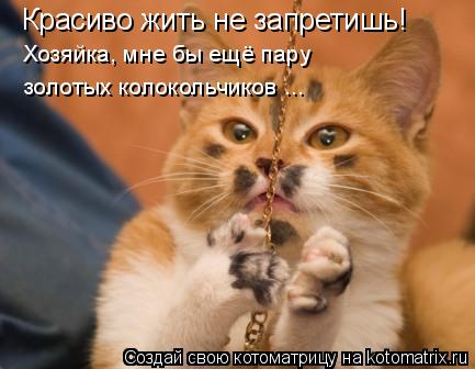 Красиво жить не запретишь! Хозяйка, мне бы ещё пару золотых колокольчиков ...... Котоматрица: Красиво жить не запретишь! Хозяйка, мне бы ещё пару золотых колокольчиков ...