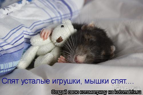 Спят усталые игрушки, мышки спят....... Котоматрица: Спят усталые игрушки, мышки спят....