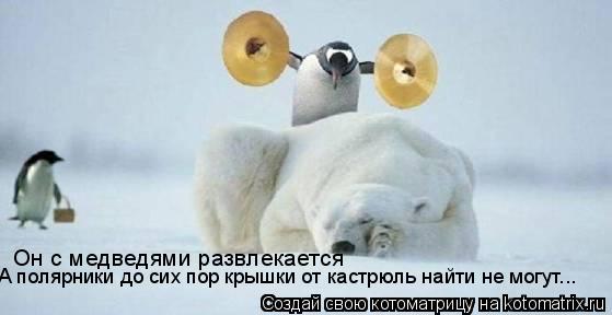 Он с медведями развлекается А полярники до сих пор крышки от кастрюль найти не могут...... Котоматрица: Он с медведями развлекается А полярники до сих пор крышки от кастрюль найти не могут...