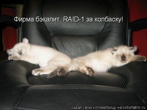 Фирма бэкапит RAID-1 за колбаску!... Котоматрица: Фирма бэкапит RAID-1 за колбаску!
