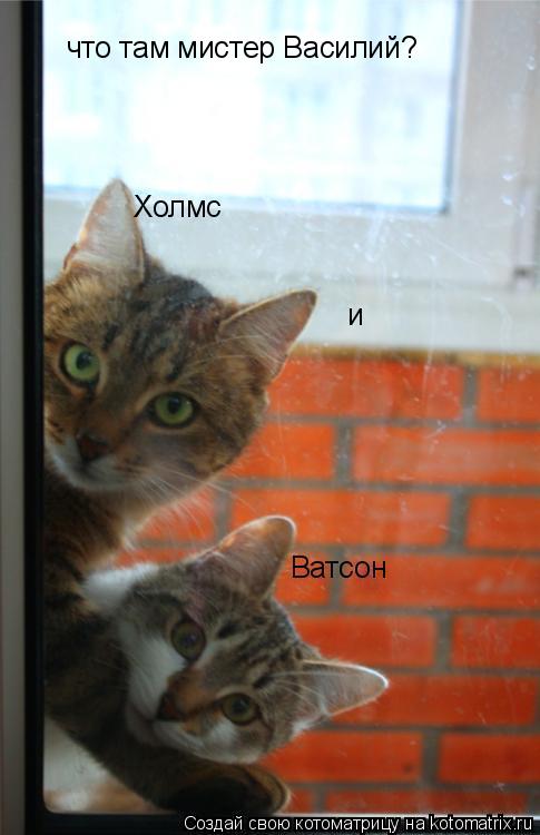 что там мистер Василий?... Котоматрица: что там мистер Василий?