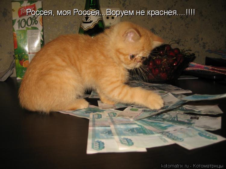 Россея, моя Россея...Воруем не краснея....!!!!... Котоматрица: Россея, моя Россея...Воруем не краснея....!!!!