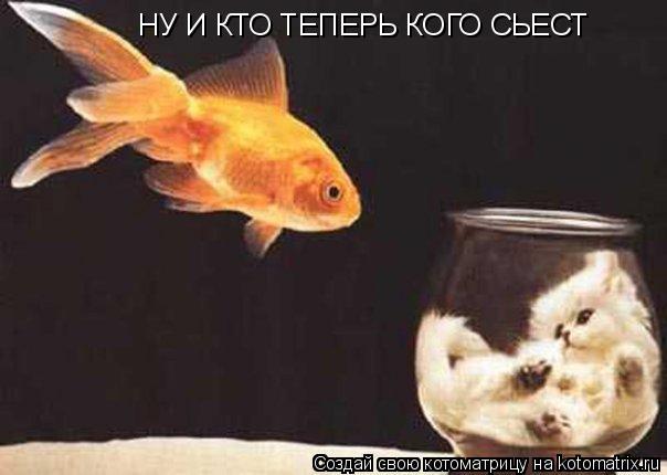 НУ И КТО ТЕПЕРЬ КОГО СЬЕСТ... Котоматрица: НУ И КТО ТЕПЕРЬ КОГО СЬЕСТ