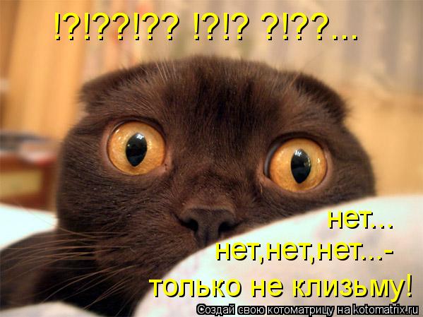 !?!??!?? !?!? ?!??... нет... нет,нет,нет...- только не клизьму!... Котоматрица: !?!??!?? !?!? ?!??... нет... нет,нет,нет...- только не клизьму!