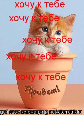 хочу к тебе хочу к тебе хочу к тебе хочу к тебе хочу к тебе... Котоматрица: хочу к тебе хочу к тебе хочу к тебе хочу к тебе хочу к тебе