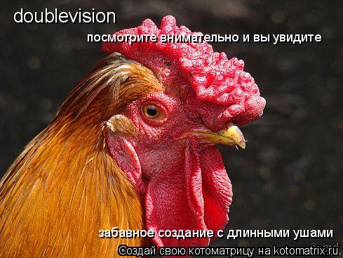 doublevision посмотрите внимательно и вы увидите забавное создание с длинными ушами... Котоматрица: doublevision посмотрите внимательно и вы увидите забавное создание с длинными ушами
