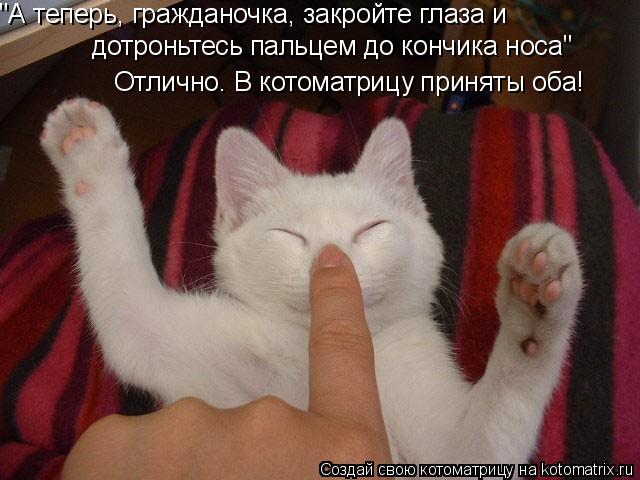 "А теперь, гражданочка, закройте глаза и дотроньтесь пальцем до кончика носа" Отлично. В котоматрицу... Котоматрица: "А теперь, гражданочка, закройте глаза и дотроньтесь пальцем до кончика носа" Отлично. В котоматрицу приняты оба!