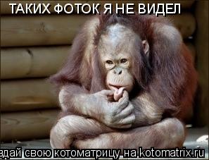 Котоматрица: ТАКИХ ФОТОК Я НЕ ВИДЕЛ
