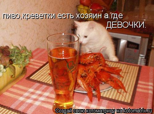 пиво,креветки есть хозяин а где ДЕВОЧКИ.... Котоматрица: пиво,креветки есть хозяин а где ДЕВОЧКИ.