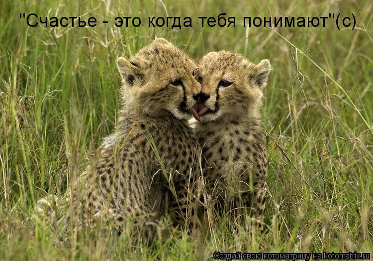 "Счастье - это когда тебя понимают"(с)... Котоматрица: "Счастье - это когда тебя понимают"(с)