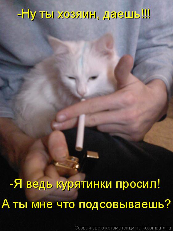 -Ну ты хозяин, даешь!!! -Я ведь курятинки просил! А ты мне что подсовываешь?... Котоматрица: -Ну ты хозяин, даешь!!! -Я ведь курятинки просил! А ты мне что подсовываешь?