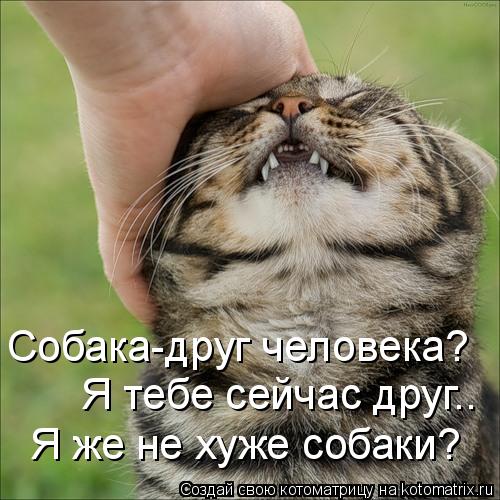 Собака-друг человека? Я тебе сейчас друг.. Я же не хуже собаки?... Котоматрица: Собака-друг человека? Я тебе сейчас друг.. Я же не хуже собаки?