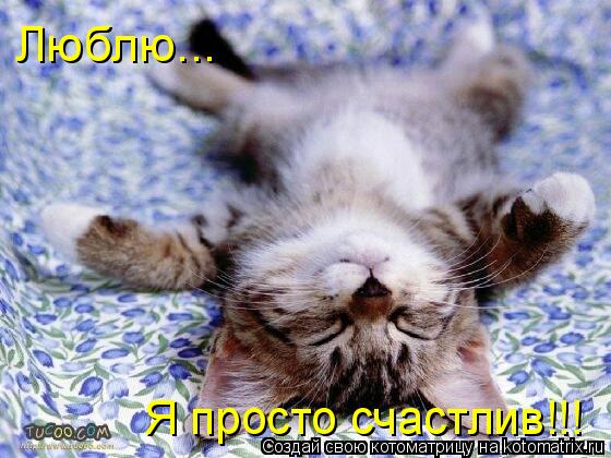 Люблю... Я просто счастлив!!!... Котоматрица: Люблю... Я просто счастлив!!!